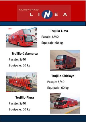 Rutas Y Lineas