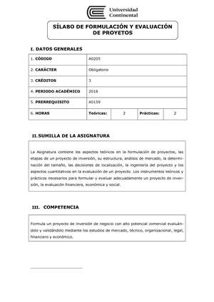 A0205 Silabo Formulación Y Evaluación De Proyectos