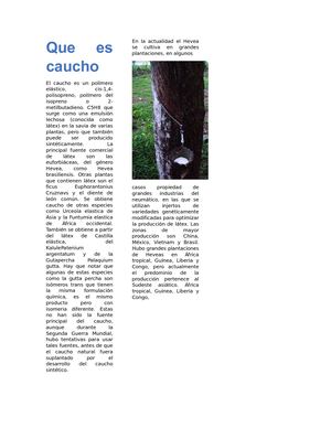 Trabajo De Caucho Y Madera Y Vidrio