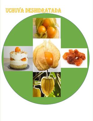 Claudia Milena Mesa Cód01