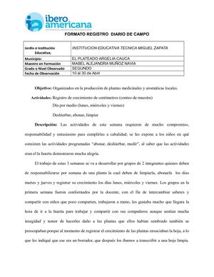 Registro Diario De Campo Quinta Entrega