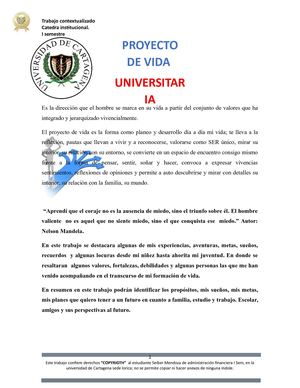Proyecto De Vida Seiber Mendoza