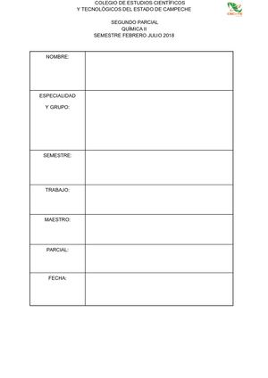 Diego Antonio Balche Garcia organizador grafico