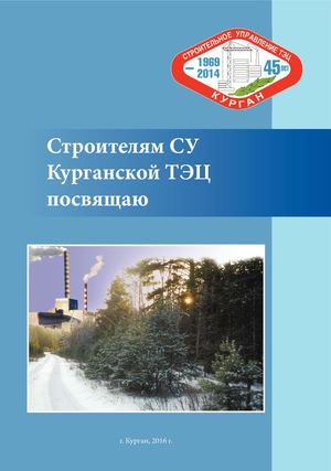 Богатырев Н.С., Трубкин М.В. ТЭЦ
