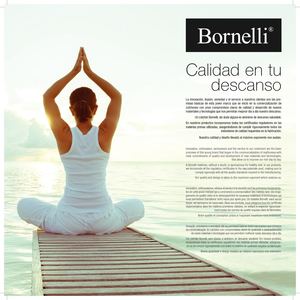 Catálogo Bornelli