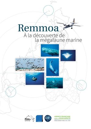 Remmoa - À la découverte de la mégafaune marine