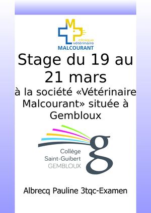 Rapport De Stage Albrecq