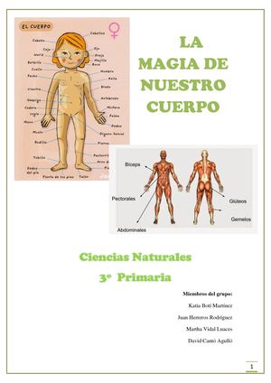 El cuerpo humano