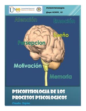 La Psicología y el Sistema Nervioso