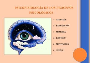 Fase Final Revista Psicofisologia