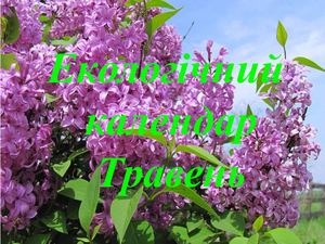 Екологічний календар Травень