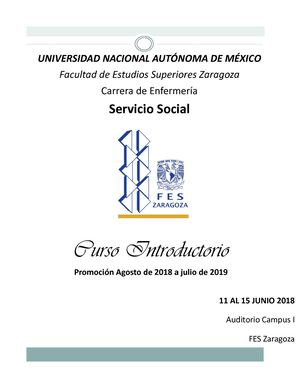 Triptico Programa Curso Introductorio Agosto 2017