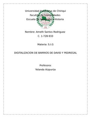 digitalizacion de David y Pedregal
