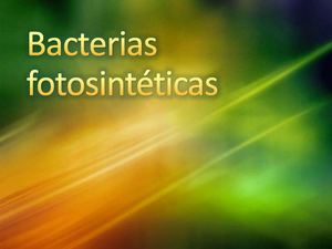 Bacteriasfotosintticasfinal 170924222130 (1)