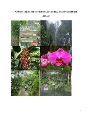 303036finalgrupo01 Ok,