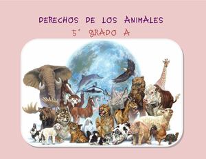 Derechos Animales 5 A