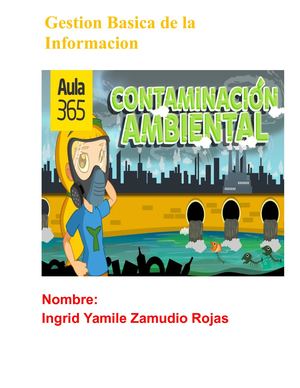 Contaminacion Ambiental