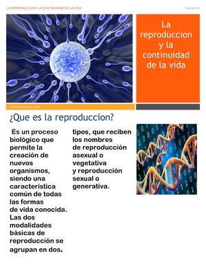 La Reproduccion Y La Continuidad De La Vida