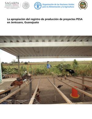 Sistematizacion Pesa Guanajuato