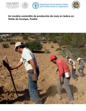 Sistematización Pesa Puebla