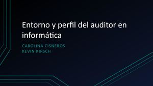 Entorno Y Perfil Del Auditor En Informática