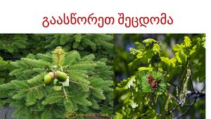 გაასწორეთ შეცდომა