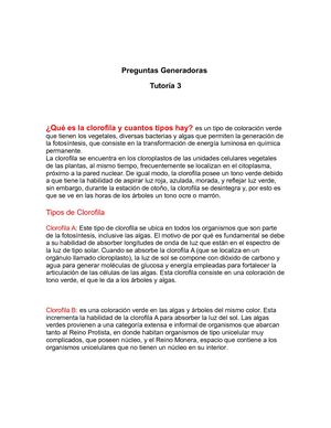 Preguntas Generadoras 3