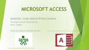 Base De Datos Access Japc (1)