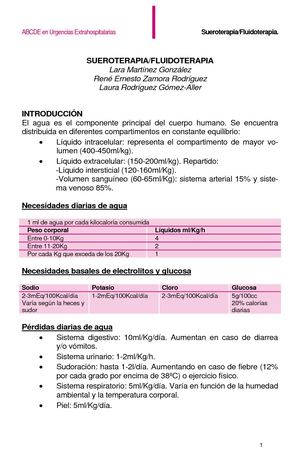 Sueroterapia Fluidoterapia 130926211308 Phpapp01
