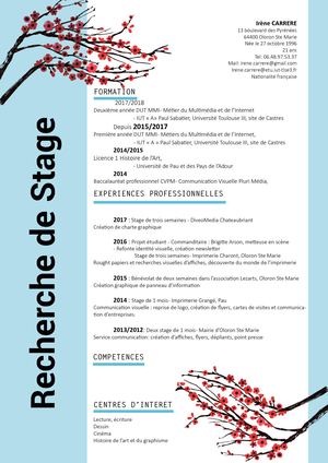 Cv Carrere Irène