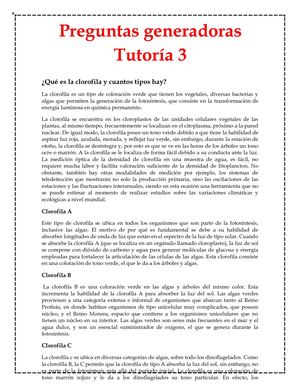 Preguntas Geneadoras T3