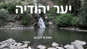 יער יהודיה גל ליברמן