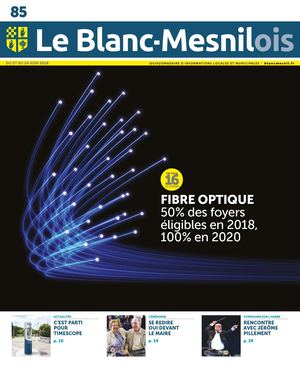 Le Blanc Mesnilois N°85