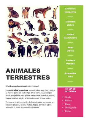 Animales Terrestres