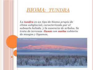 Bioma 2 Candela Y Magali