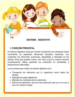 Sistema Digestivo (2)