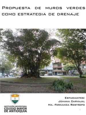 Muros Verdes (Estrategia de Drenaje)