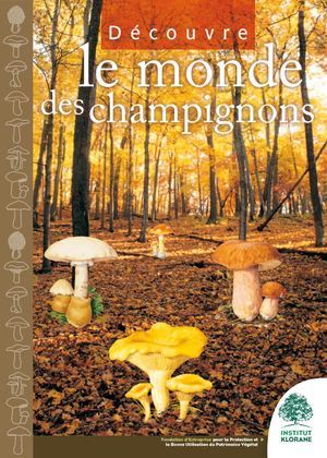 Le Monde Des Champignons