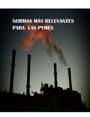 Libro Normas Empresariales