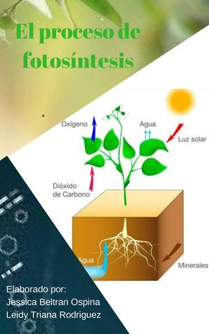 Cartilla Fotosíntesis Biología General