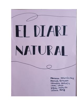 Diari 4