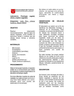 Laboratorio N° 3 Fisio