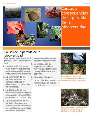 Boletin De Las Causas Y Consecuencias De La Perdida De La Bio