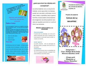 Folleto Sobre Cultura De La Sexualidad