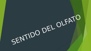 Sentido Del Olfato
