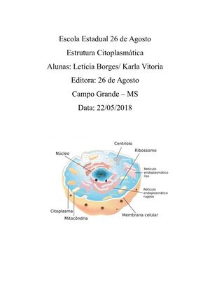 Estrutura citoplasmática