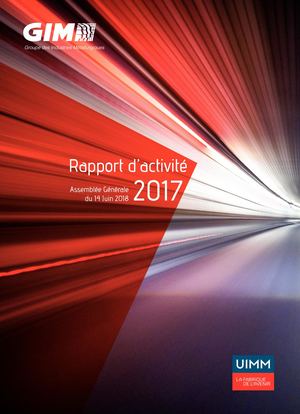 Rapport d'activité du GIM 2017