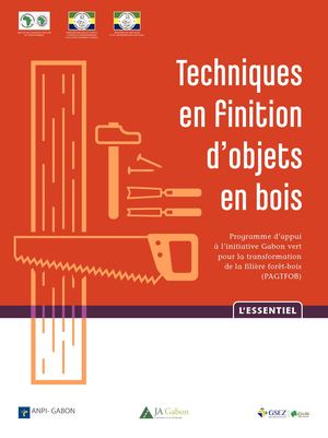 Techniques En Finition D'objets En Bois