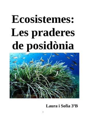 Ecosistemas