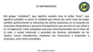 Ii Clase 3 Anabolismo Catabolismo
